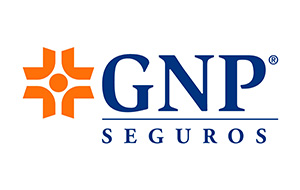 GNP